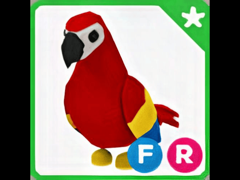 Parrot — Adopt Me